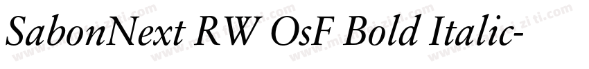 SabonNext RW OsF Bold Italic字体转换